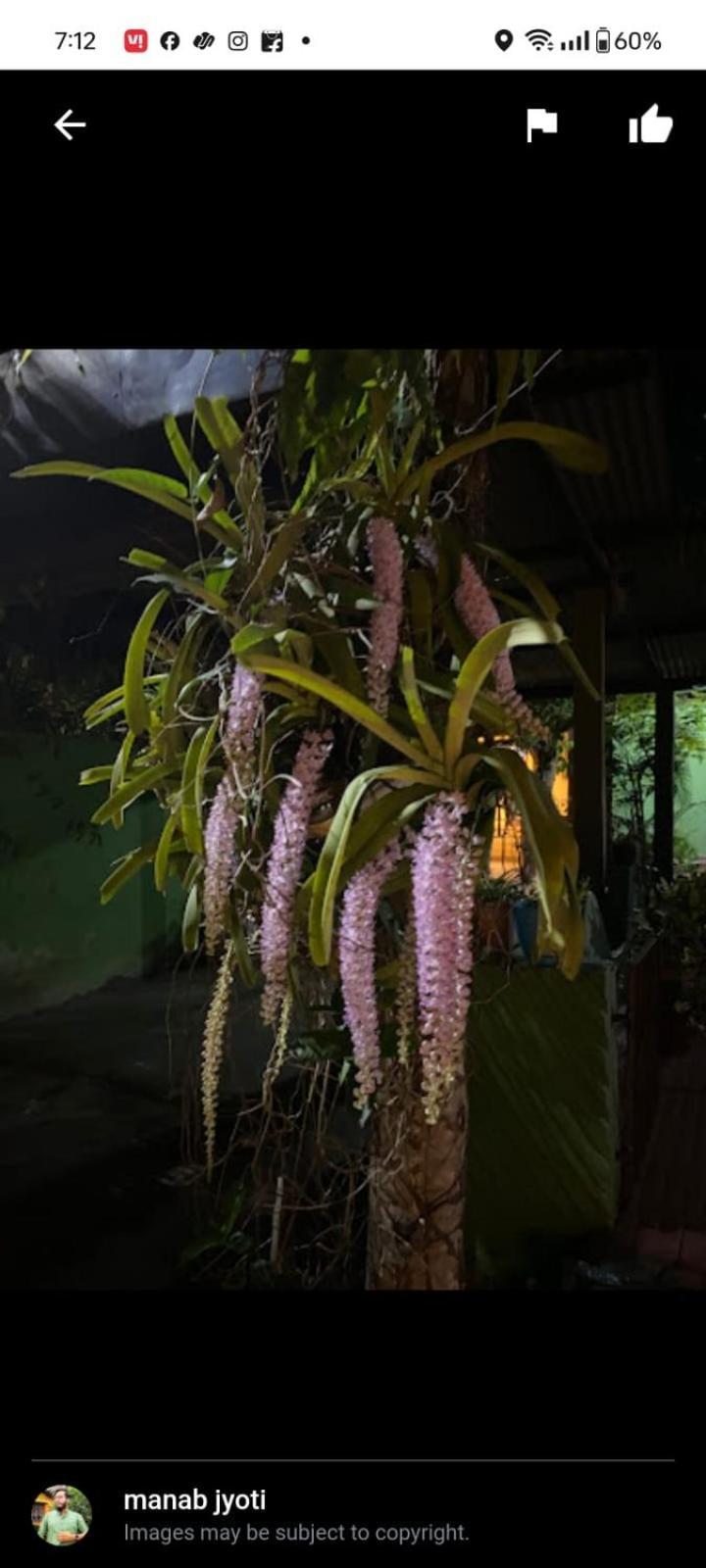 Orchid Park Homestay Sivasagar Zewnętrze zdjęcie